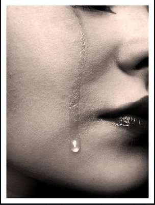 November 4, 2008: He Won’t Even Look At&nbsp;Me